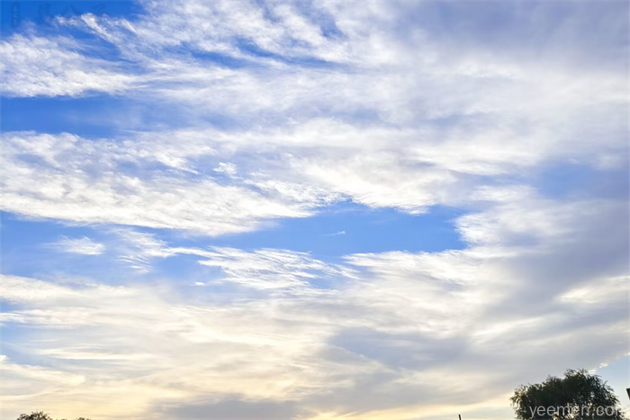 易传（十翼）：杂卦传原文及译文，杂卦传全