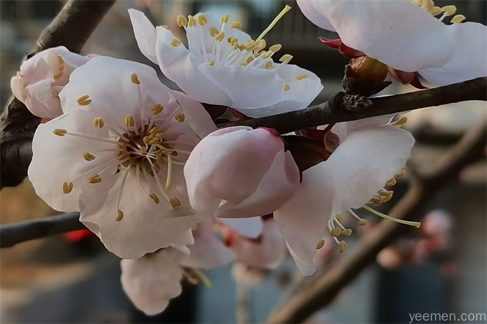 易传（十翼）：系辞传原文及译文,易经系辞 系辞下传·第十二章