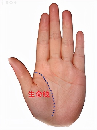 手掌生命线的深度与清晰度对比，解析不同特征含义